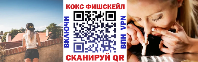 Cocaine Эквадор  маркетплейс телеграм  Пучеж 