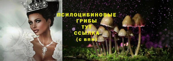 mix Медвежьегорск