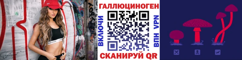 MEGA ссылки  Пучеж  Псилоцибиновые грибы Magic Shrooms  закладки 